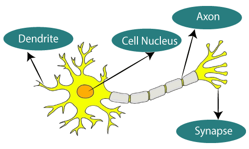 What is Artificial Neural Network